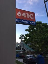 Blk 641C Punggol Drive (Punggol), HDB 5 Rooms #147407622